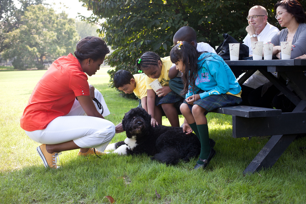 Study: Dogs Reduce Stress for Kids