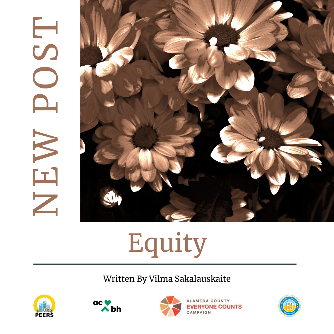 Equity